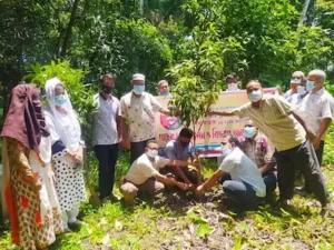 স্বপ্নদেখোর বৃক্ষ রোপন সেক্টরের কার্যক্রম